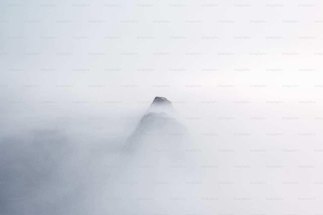 网络null是什么梗